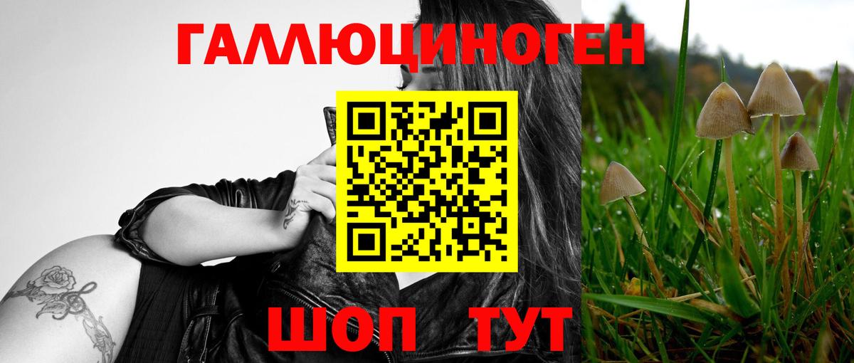 Галлюциногенные грибы MAGIC MUSHROOMS  Галлюциногенные грибы Psilocybe  Новочебоксарск  Вход с VPN 